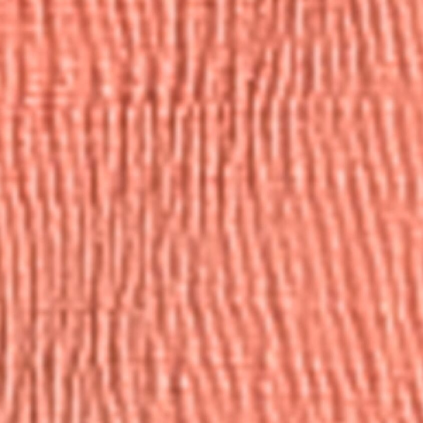 Burnt Coral