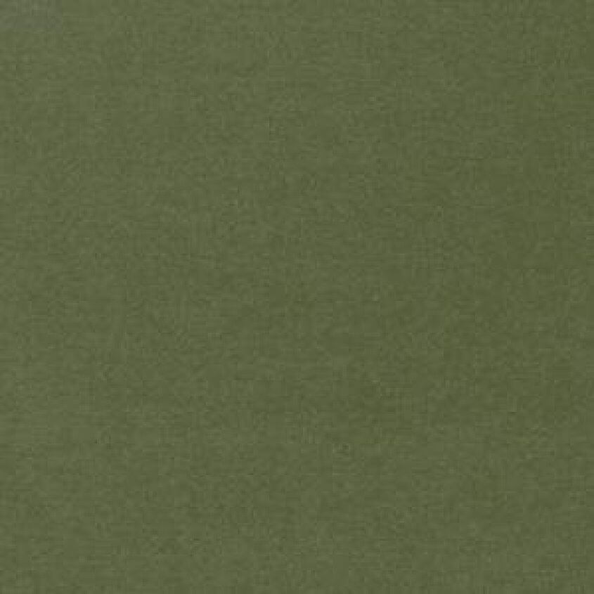 Asparagus A