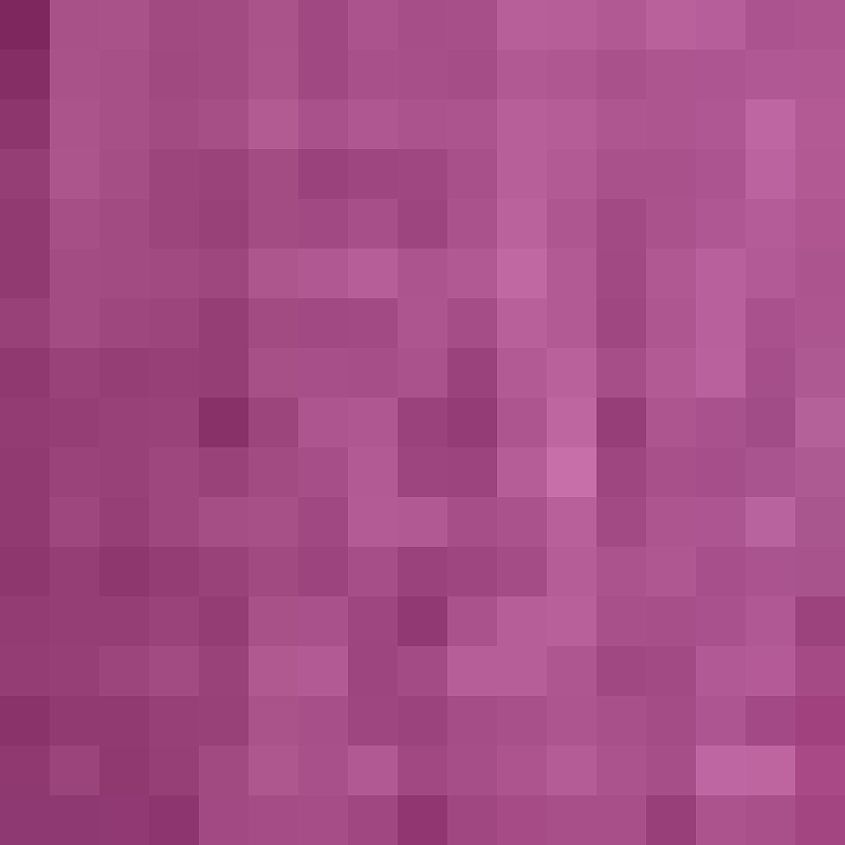 Boysenberry