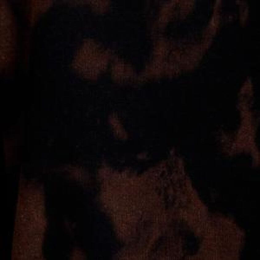 Bleach Black