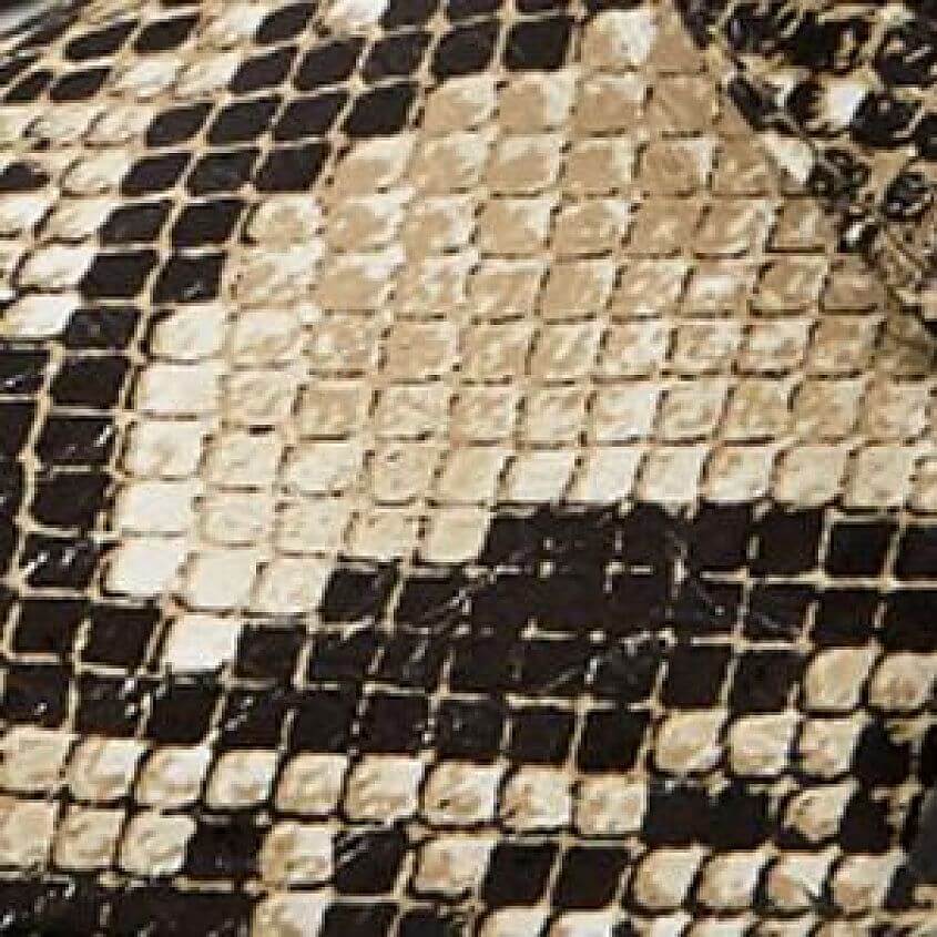 Snake