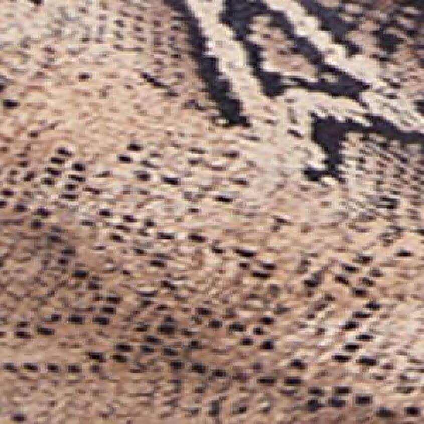 Snake