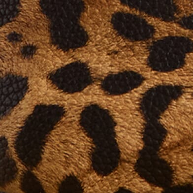 Leopard Print