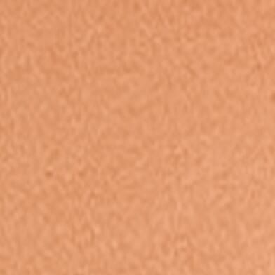 Lion Brown
