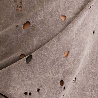 Iron