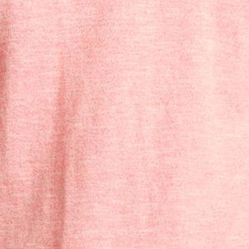 Salmon Rose