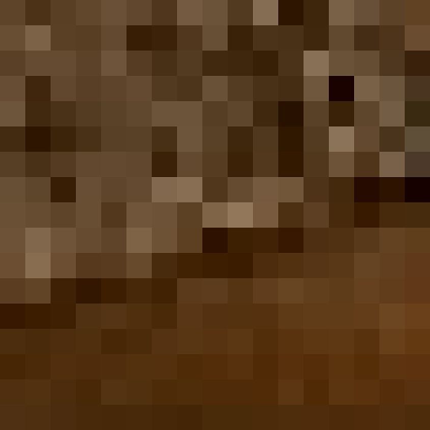 Dusty Brown