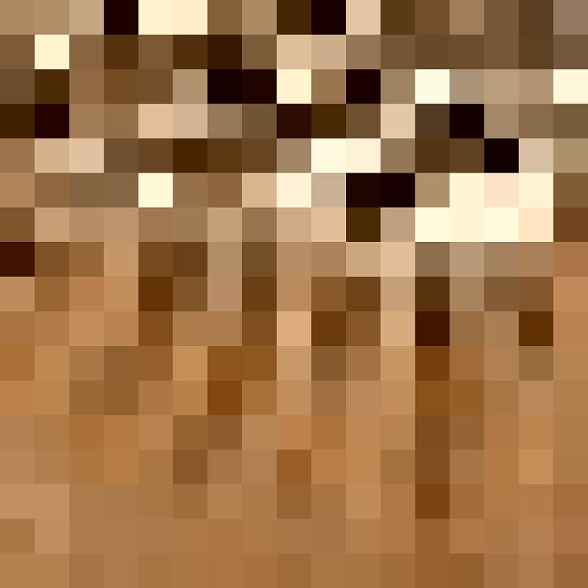 Cinnamon