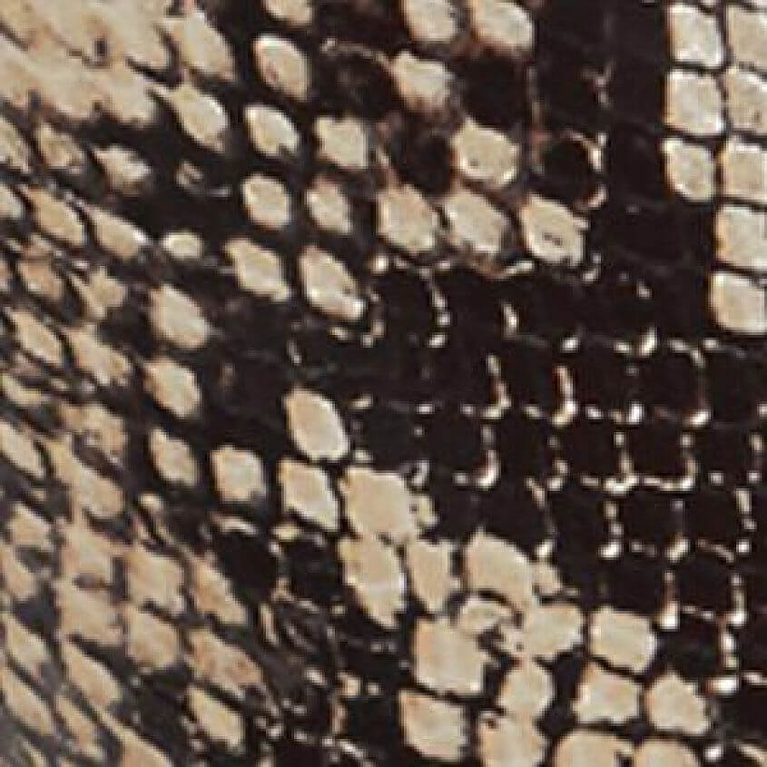 Snake