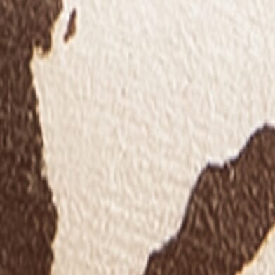 Cow Brown