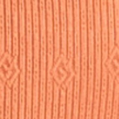Brunt Orange