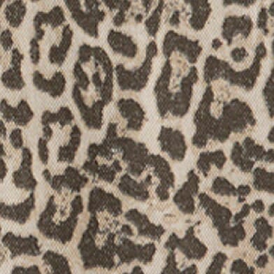 Leopard BG