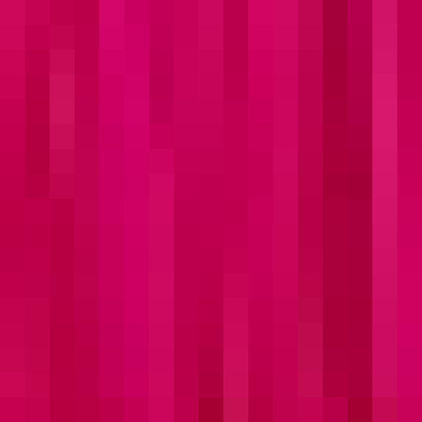 Fuchsia Black