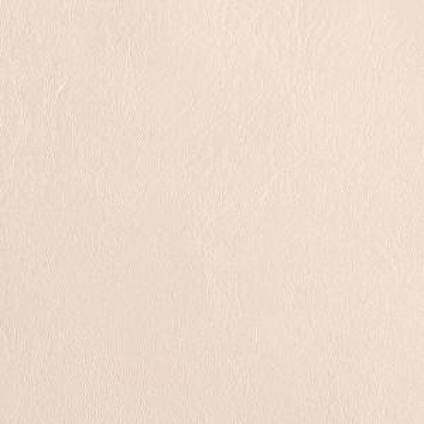 Cream Camel