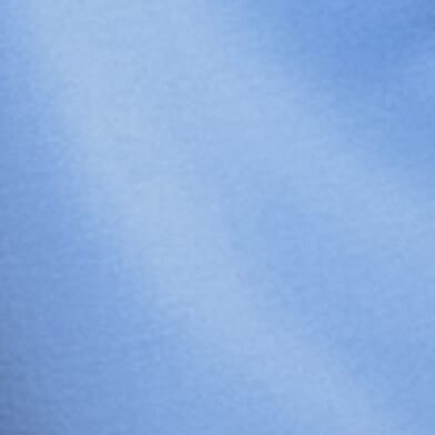 Della Robbia Blue