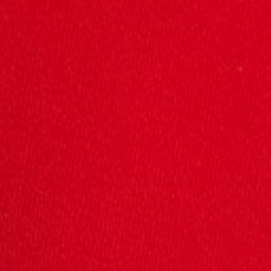 Ruched Back Lace Top thumbnail 4