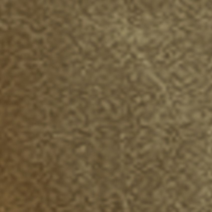 Military Olive