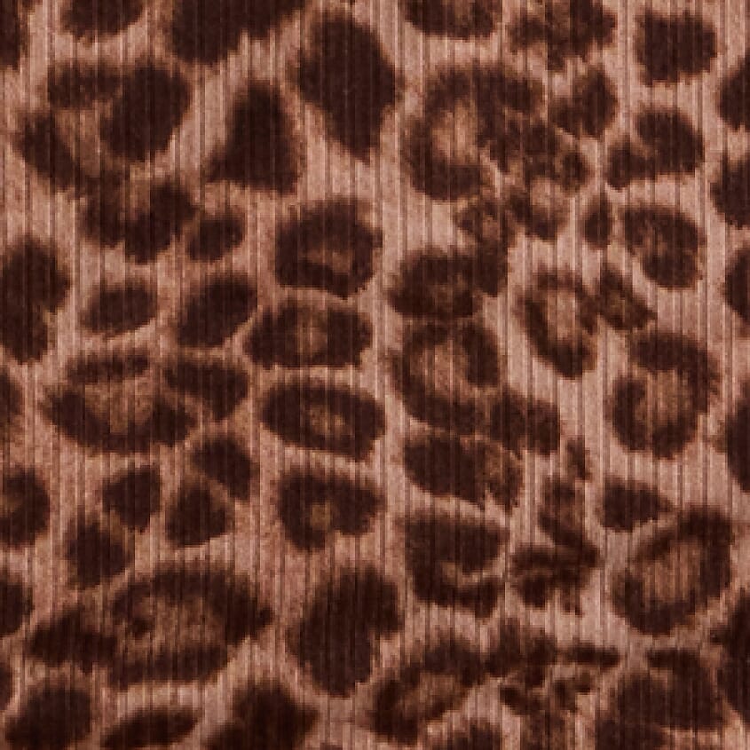 Girls - Willow & Root Ribbed Cheetah Top - Girl's Shirts