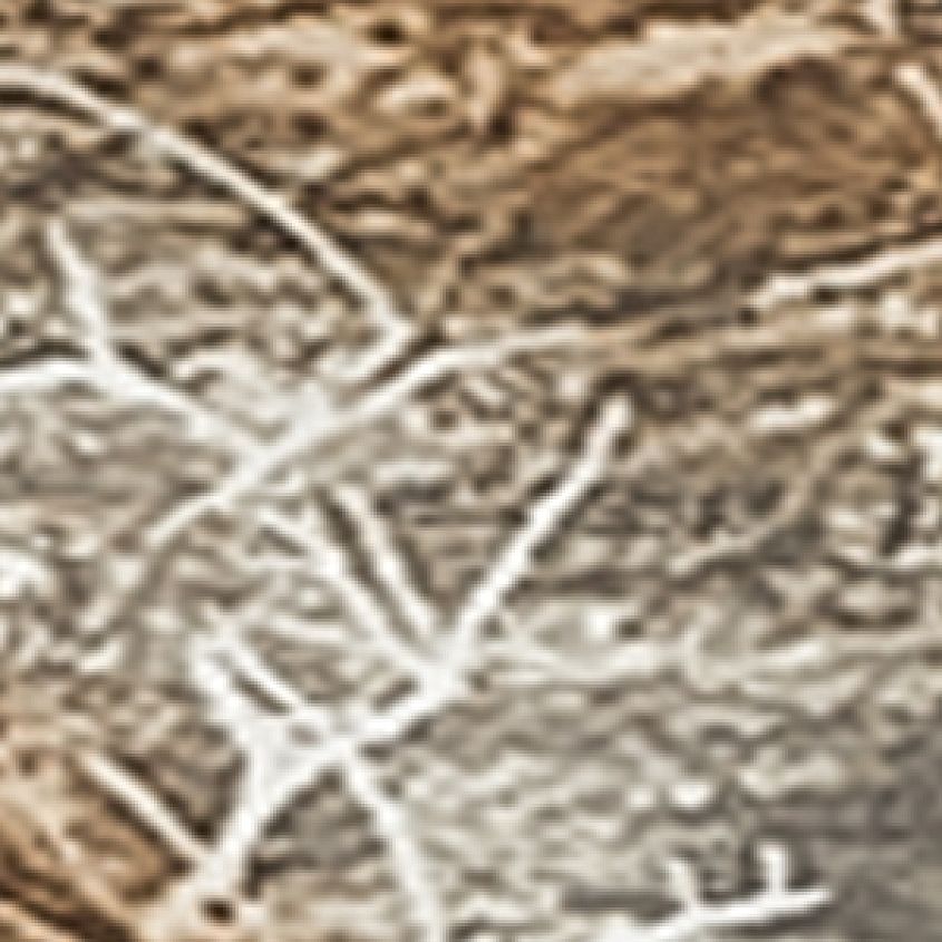 Camo