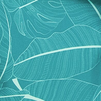 Blue Spruce