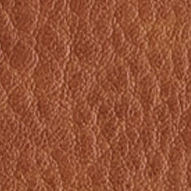 Leopard Brown