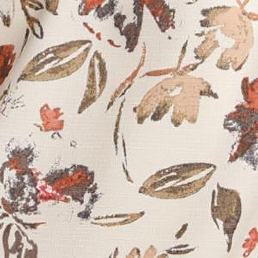 Cream Multi