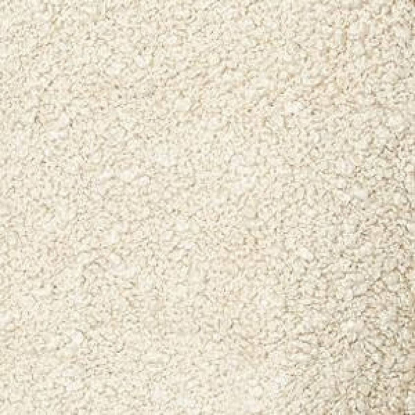 Cream Khaki