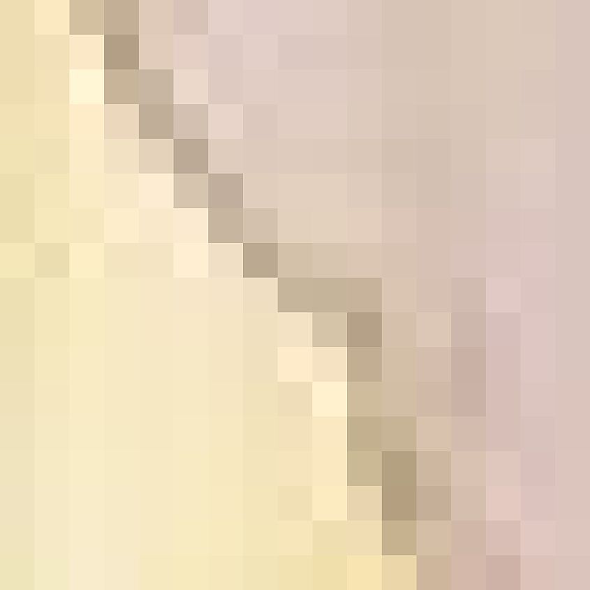 Taupe Lemon
