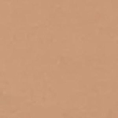 All Silver Tan