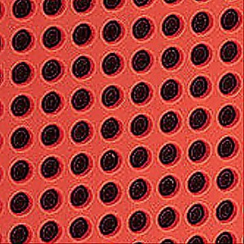 アンプ NIXON THE BLASTER RED PEPPER Nixon The Blaster Speaker - Men's Clothing in Red Pepper