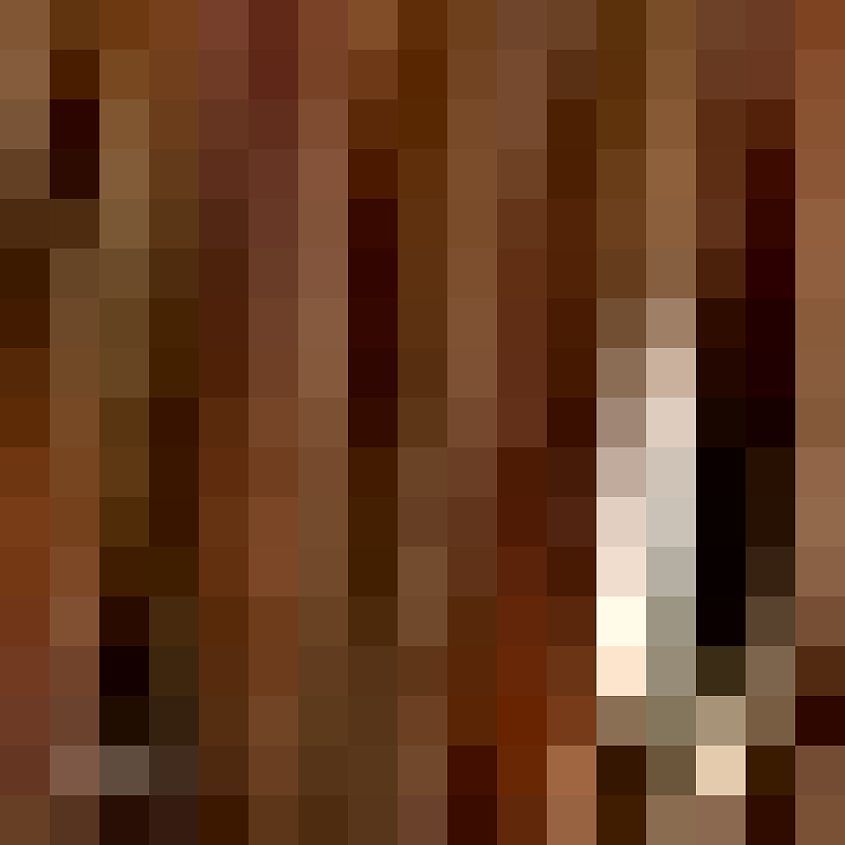 Tan