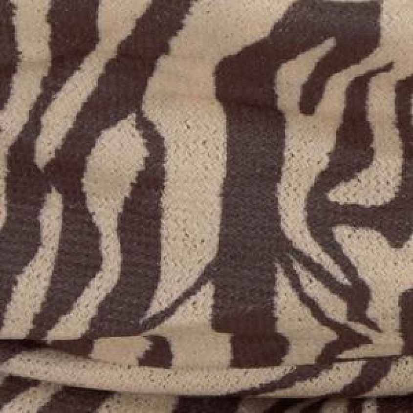 Zebra Brown