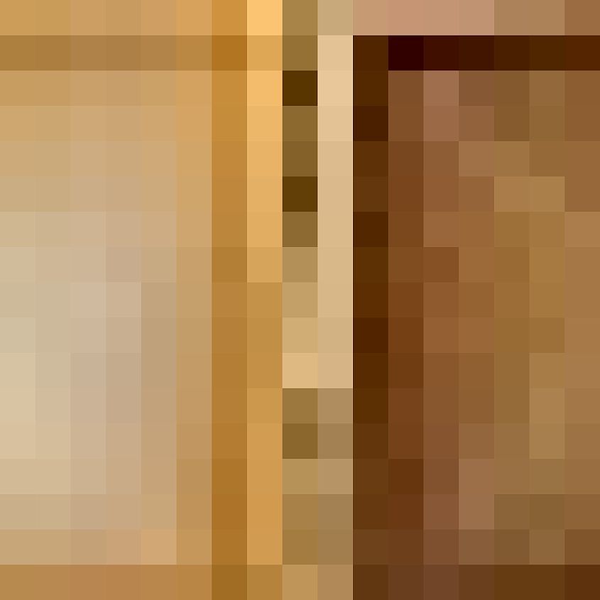 Gold Cream Brown
