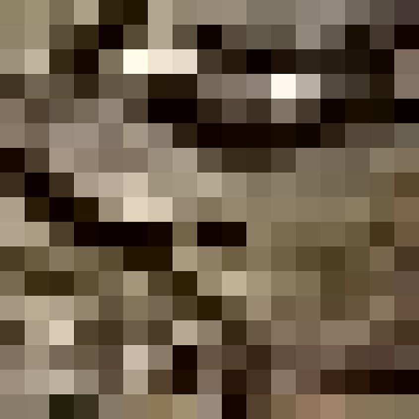 Multicam