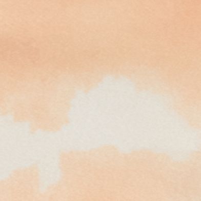 Palms Clouds Orange