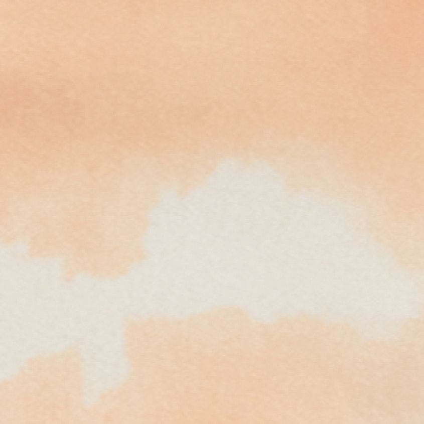 Palms Clouds Orange