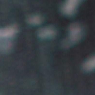 Tiger Mountain Camo