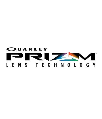 Oakley Holbrook&#8482; Polarized Sunglasses misc detail 3 view
