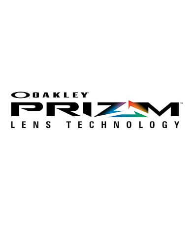 Oakley Holbrook&#8482; Polarized Sunglasses MISC_DETAIL_4