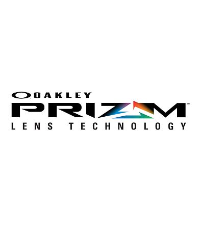 Oakley TwoFace&#8482; Prizm Sunglasses MISC_DETAIL_4