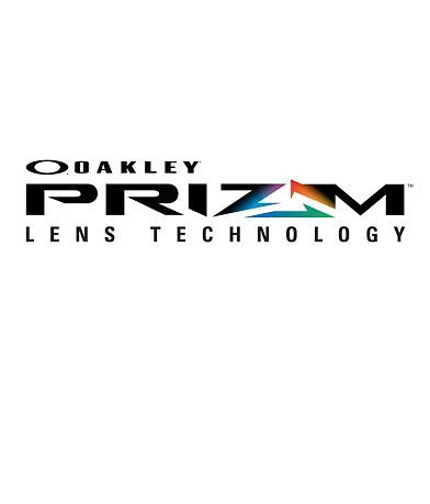 Oakley Holbrook Woodgrain Mix Prizm Sunglasses misc detail 4 view
