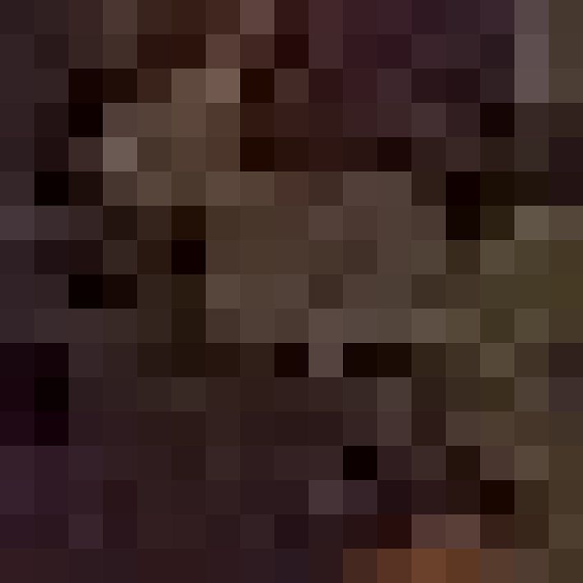 Desert Blotch Camo