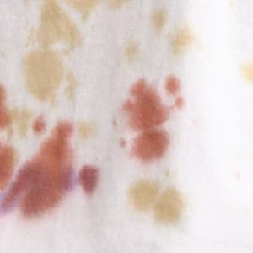 Copper Coin Tie Dye