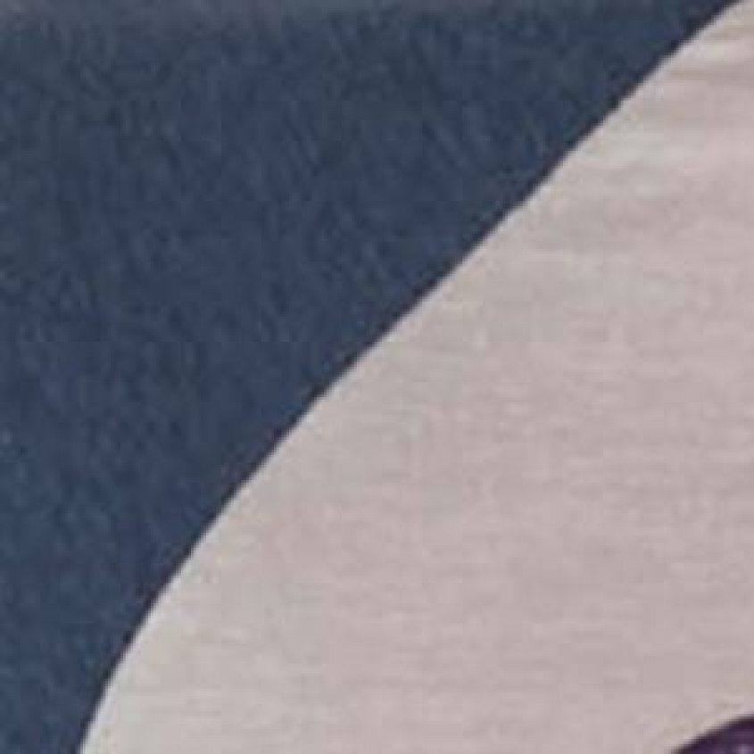 Heather Stone Dark Denim