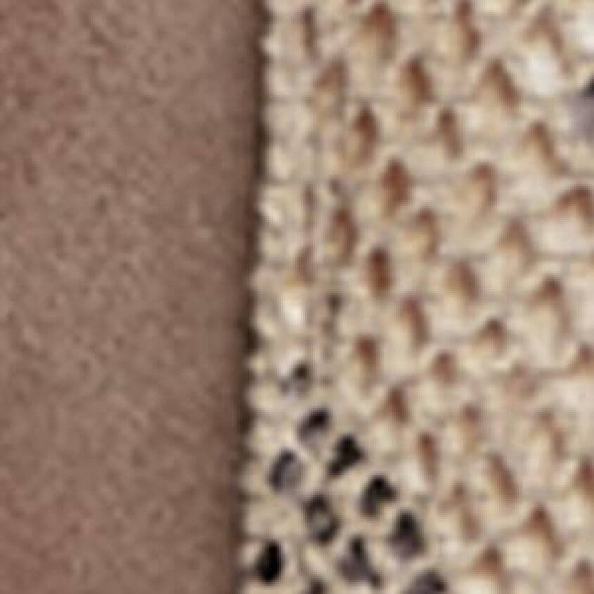 Taupe Croc