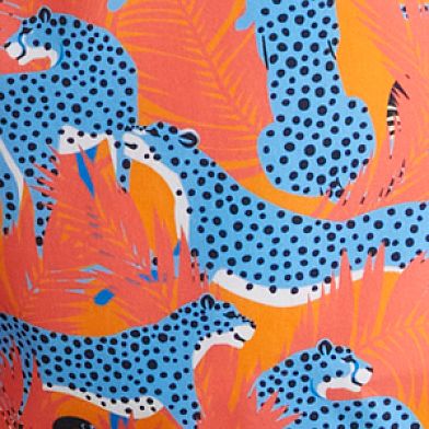 Orange Multi