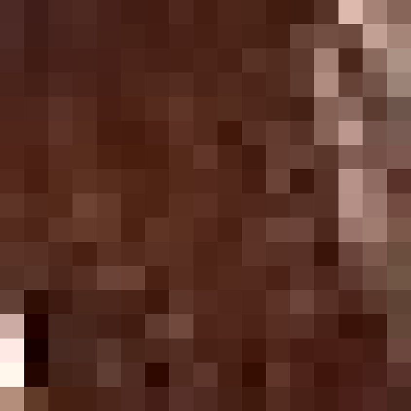 Brown