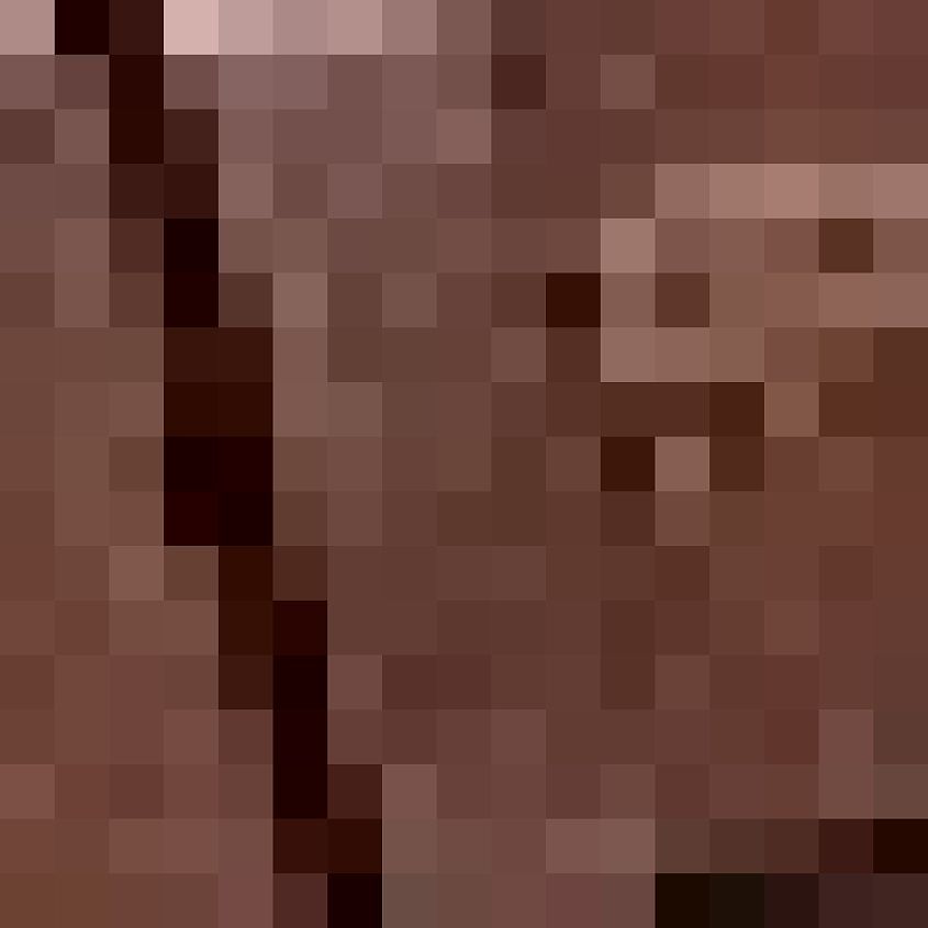 Tan
