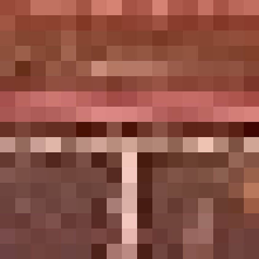 Camel
