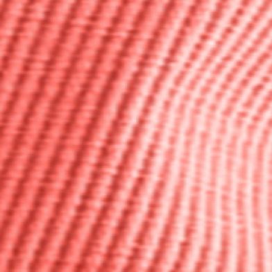 Spiced Coral